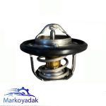 ترموستات اس دبلیو ام